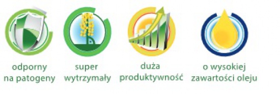 Rzepak ozimy – kwalifikowany materiał siewny